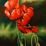 Poppies