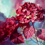 Red Hydrangea