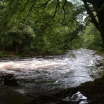 river dart