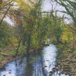 River Teign at Fingle Bridge