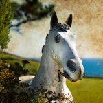 'Sea Horse' - Talland Bay, Cornwall