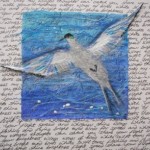 Sea Swallow