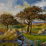 Stark Hawthorn, Combestone Tor   SOLD