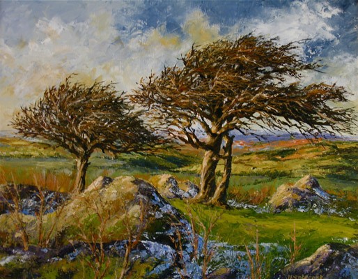 Stark Hawthorn, Combestone Tor   SOLD