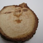 Oak talisman