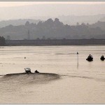 Teign Estuary