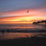 Teignmouth Grand Pier