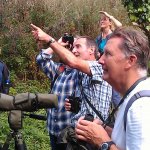 The Bird Watching Course at Berry Head