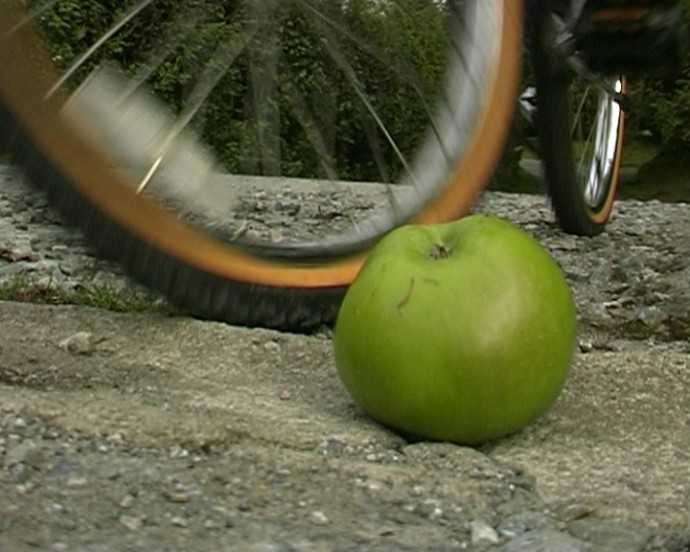 The Boy, the Bike, and the Apple