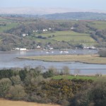 The River Tamar - view across the Valley from Pentillie Castle