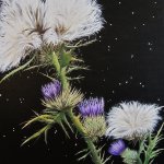 Thistle