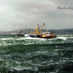 Trawler Race III