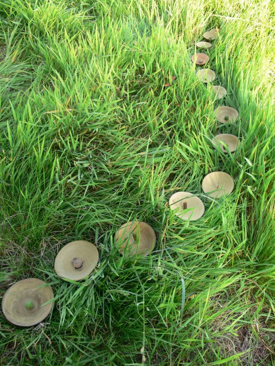 Unfired thumb-pots with seeds displayed on grass