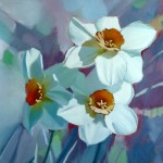 White Narcissus