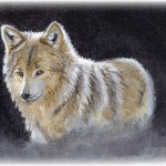 Wolf - oils