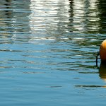 Yellow Buoy