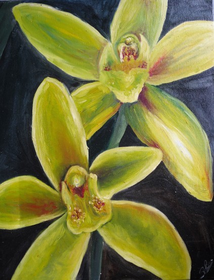 Yellow Orchids