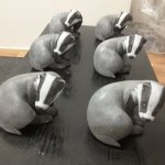 A bevvy of badgers!