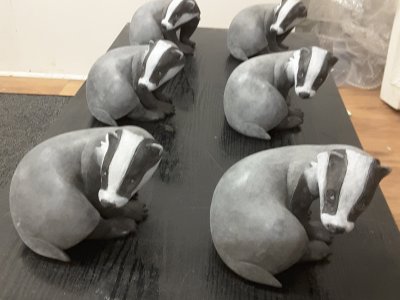 A bevvy of badgers!
