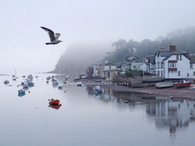 DAVID BLAKELEY - Dawn Light - Shaldon, Teign Estuary