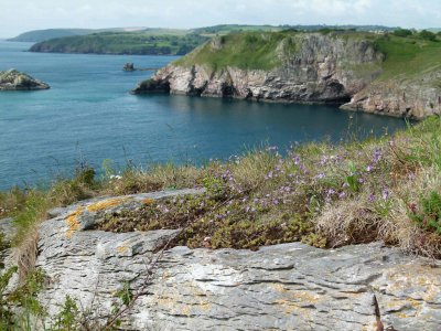 Featured Wilderness Thinker: Nigel Smallbones