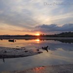 PERFECT SUNSET ON THE TEIGN ESTUARY