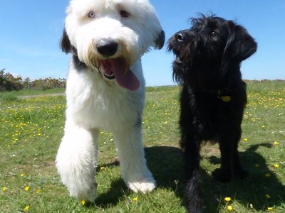 Sniffing out the future at Berry Head