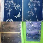 Sun Printing Workshops