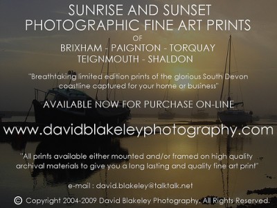 Website Up & Running