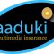 Aaduki Multimedia Insurance