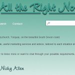 Nicky Allen / All the Right Notes