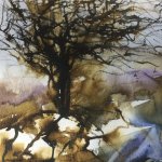 Breda Holden / Breda Holden   Watercolour and Mixed Media Painter