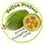 Feijoa Project / The Feijoa Project
