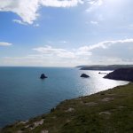 TorCoastCountry / Torbay Coast & Countryside Trust