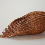 Large darkening copper pod