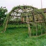 Living willow dome