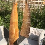 Salmon Skin Fish Tanning