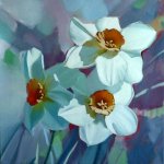 White Narcissus