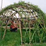 Creative Willow / Ganesh & Elaine Kings